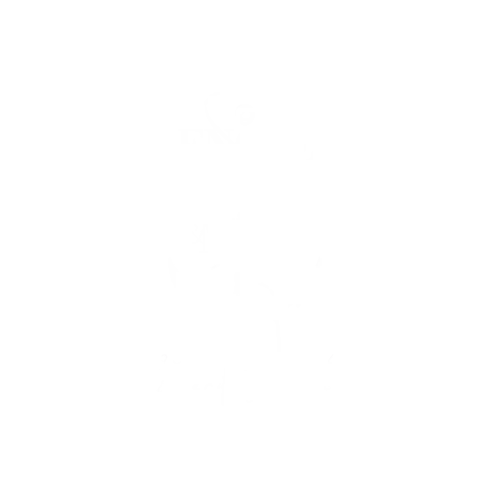 Logo officiel Encre Et Mer salon tatouage piercing Port-Fréjus Var ancre marine